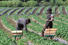 Agro Live Learning: seminario online en vivo, abierto y gratuito sobre Calidad Agroalimentaria y Emprendimientos