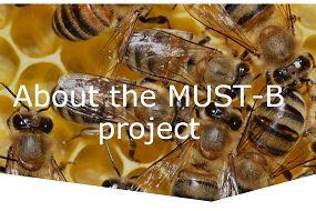 EFSA crea sitio web orientado a la investigación de la salud de las abejas
