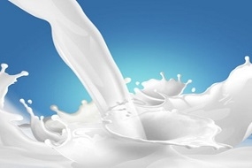 Utilizarán microorganismos antárticos para producir leche sin lactosa