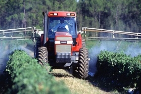 Investigan factores de riesgo de exposición a plaguicidas en trabajadores agrícolas del Maule Investigan factores de riesgo de exposición a plaguicidas en trabajadores agrícolas del Maule