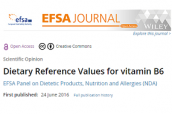 Valores dietéticos de referencia: recomendación sobre vitamina B6