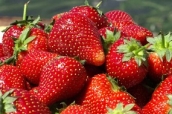 frutillas ayudan a reducir el colesterol
